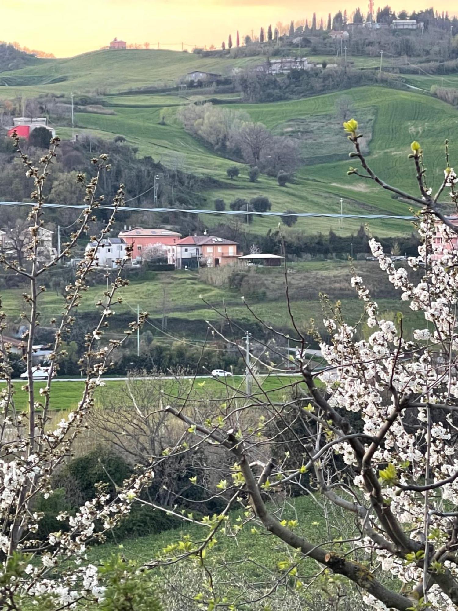 Agriturismo Ca' Maggio Sasso Feltrio Buitenkant foto